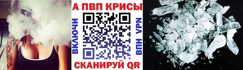 A PVP СК КРИС  Алексин 
