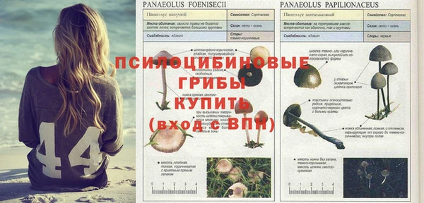 твердый Абинск